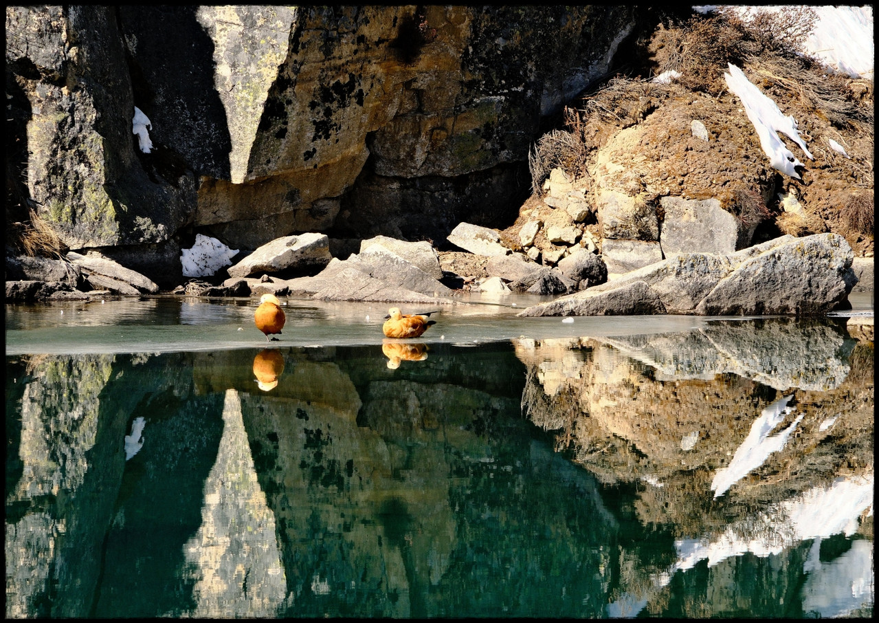 Día 20. Gokyo First Lake + Gokyo Ri - Everest Three Passes Trek: tres pasos, tres cimas, tres campos base (3)