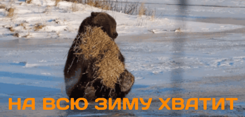 трип репортаж на мет