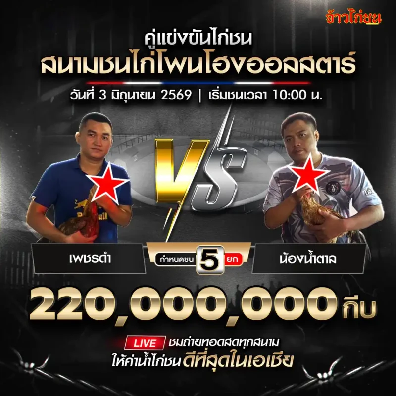 เพชรดำ vs น้องน้ำตาล สนามชนไก่โพนโฮงออลสตาร์ วันที่ 3 มิถุนายน 2026