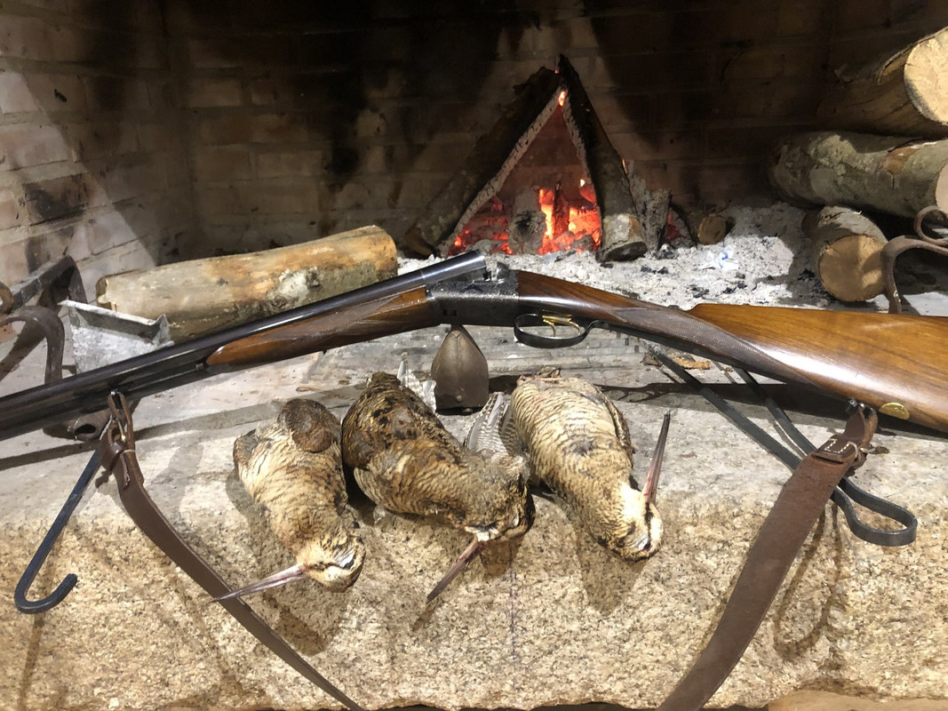 8FBBC756-A35D-40AE-B511-FC886DA0E5D2