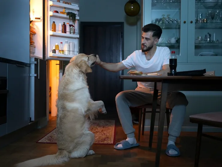 Tips for Guardians Considering a Pet