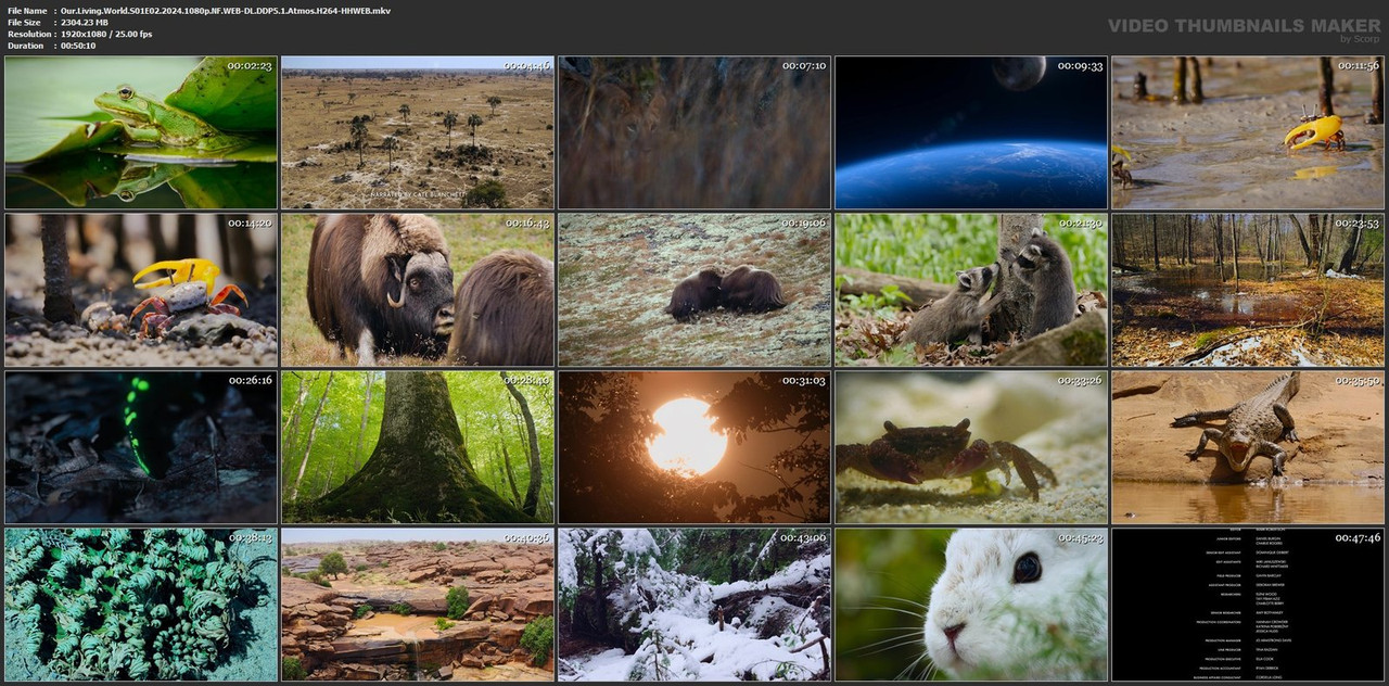 Our.Living.World.S01E02.2024.1080p.NF.WEB-DL.DDP5.1.Atmos.H264-HHWEB.mkv