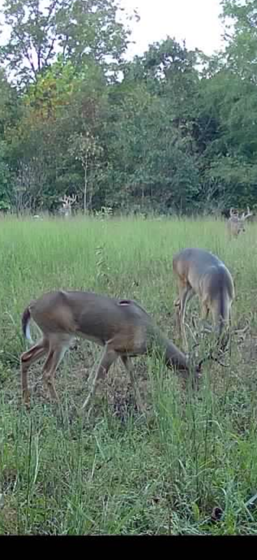 IMG 20260908 200453