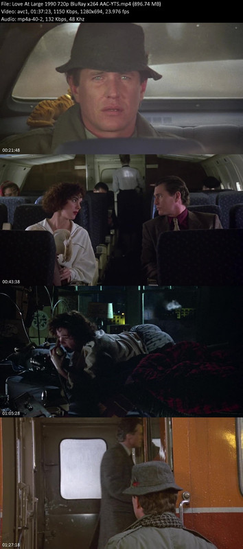Love-At-Large-1990-720p-Blu-Ray-x264-AAC-YTS.jpg