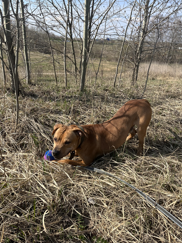 F7BFD5D4-E6D3-4C76-A43D-95822D857D04