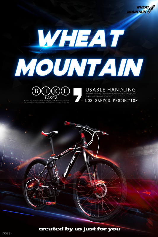 BIKE-LASCA.png