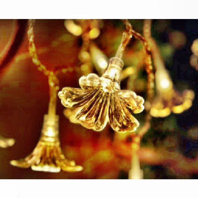 Solar String Light:80532