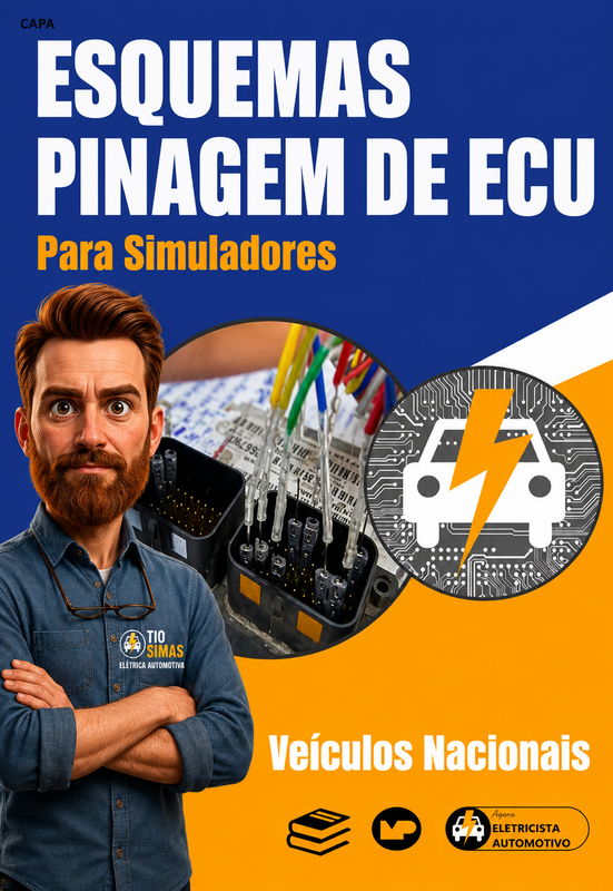 PINAGEM ECU