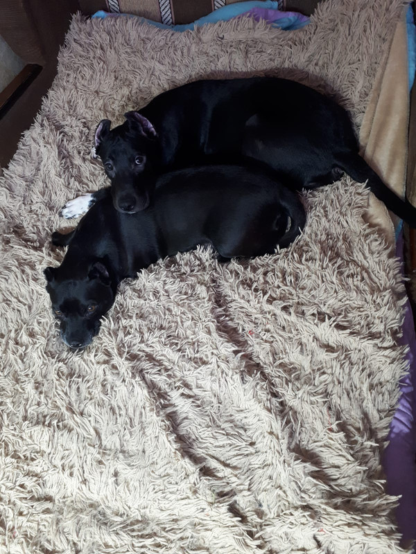 FD054934-2508-4DE1-A929-983675E2C29F