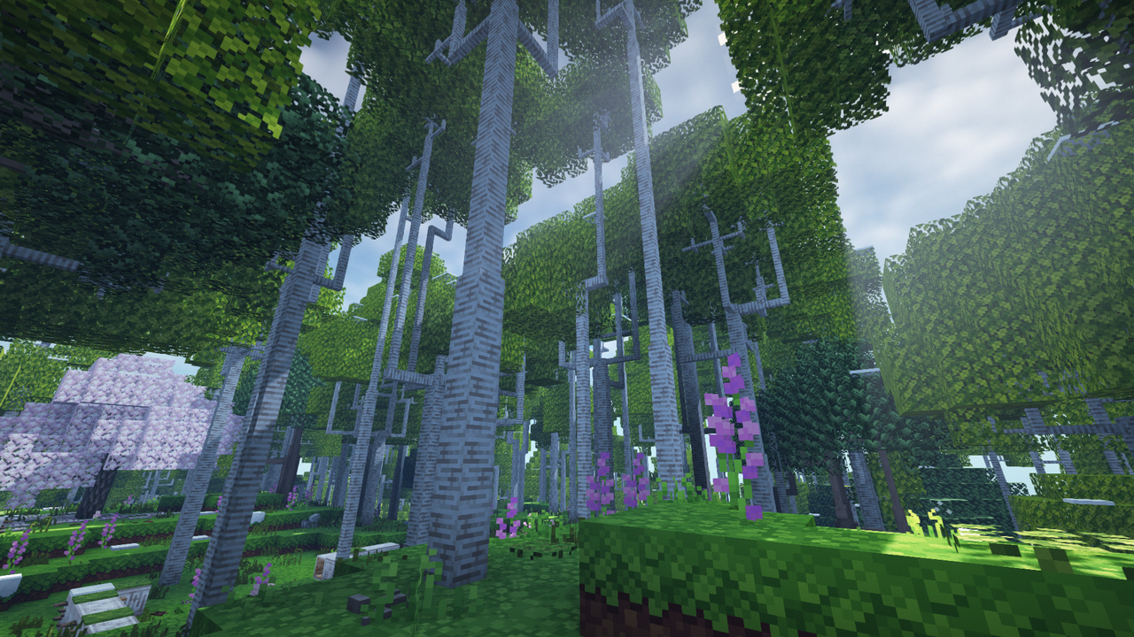 shader2