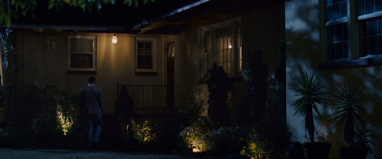 Dear John (2010) (1080p BluRay x265 FreetheFish)-2