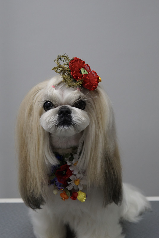 2E3A5A23-1240-4E69-98D7-E8D2AD7C6A8A