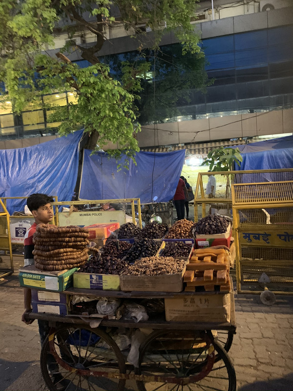 48E1DDEA-5F17-459D-8721-67FAE0503420