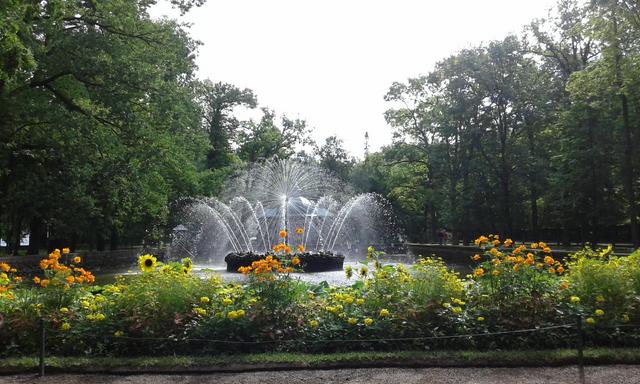 Palacio Peterhof - Capitales  Rusas (6)