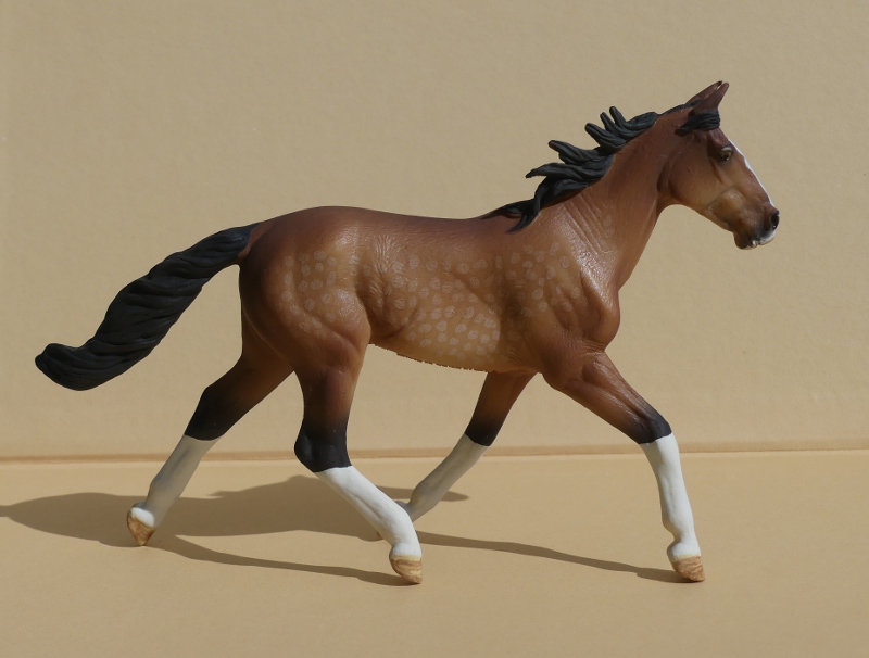 CollectA 2024s Bay-Standardbred-Right