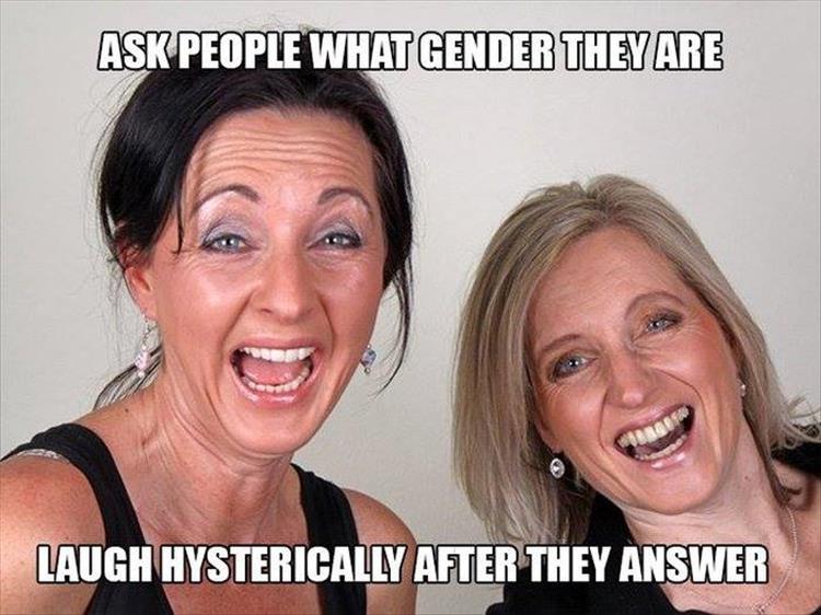 hysterical_response_to_what_gender_question.jpg
