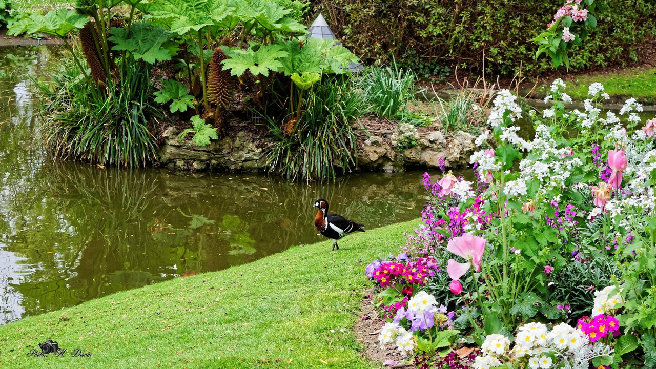 multi-garden.jpg
