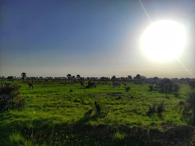 Rwenzori - Murchison Falls - 18 días por las tierras más remotas de Uganda y Kenya (5)