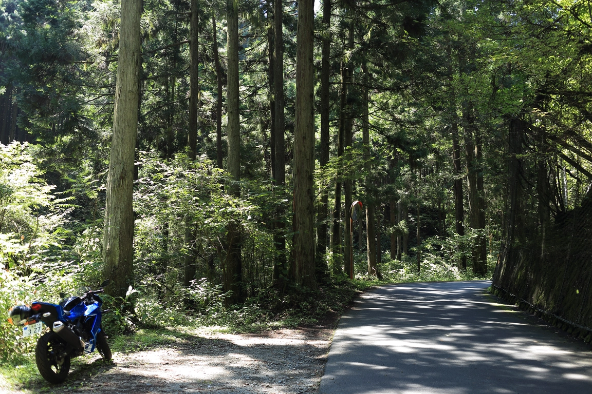 Wada Pass on Jinba-kaido Avenue