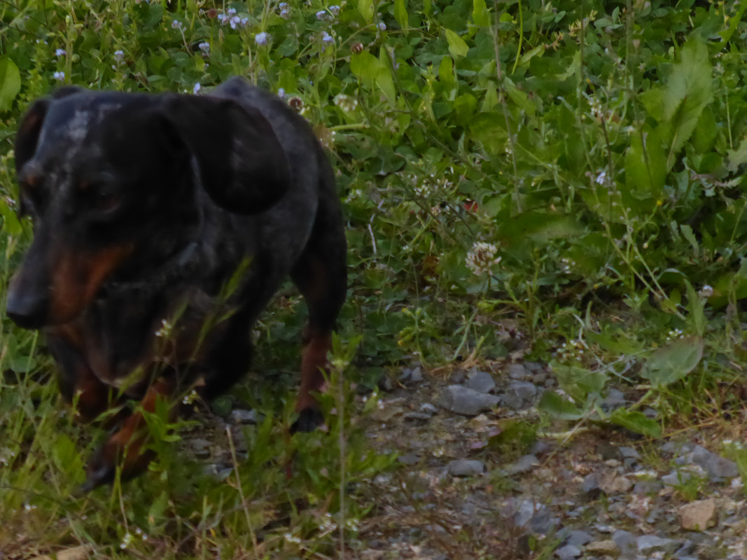 [Image: P1040963.jpg]