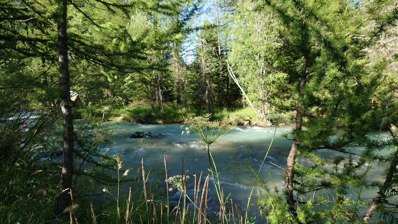 20210808-180411.jpg