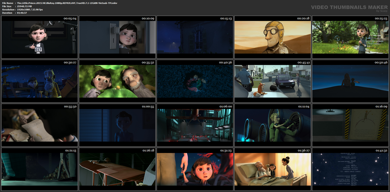 The.Little.Prince.2015.ViE.BluRay.1080p.REMUX.AVC.TrueHD.7.1-LEGi0N-Vietsub-TM.mkv