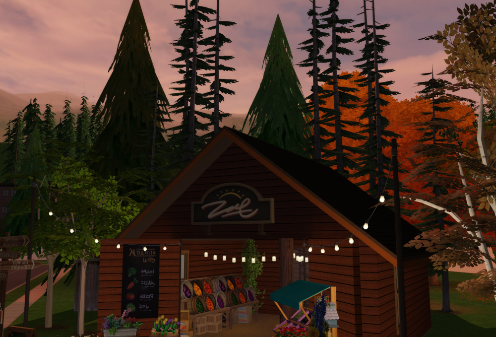 Sims2-EP9-RPC-2022-03-02-21-31-58-60