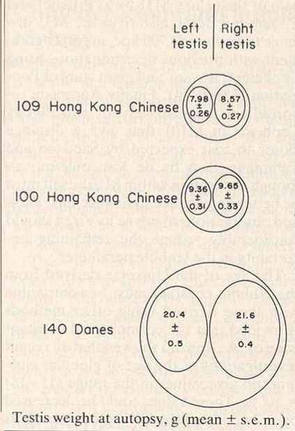 IMG_20240806_134650_306