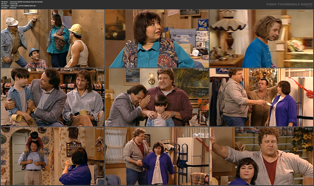 Roseanne S02E04 Somebody Stole My Gal.mkv