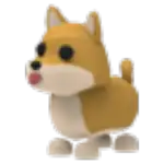 Shiba Inu