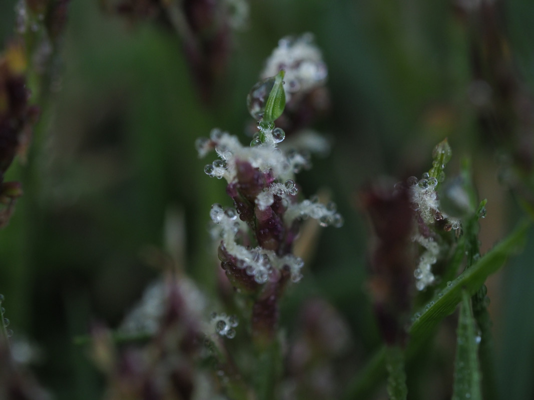 0F44A965-1D31-4EFB-AEC9-AC3BA9C48677