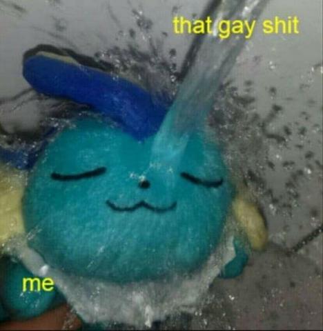 That gay shit