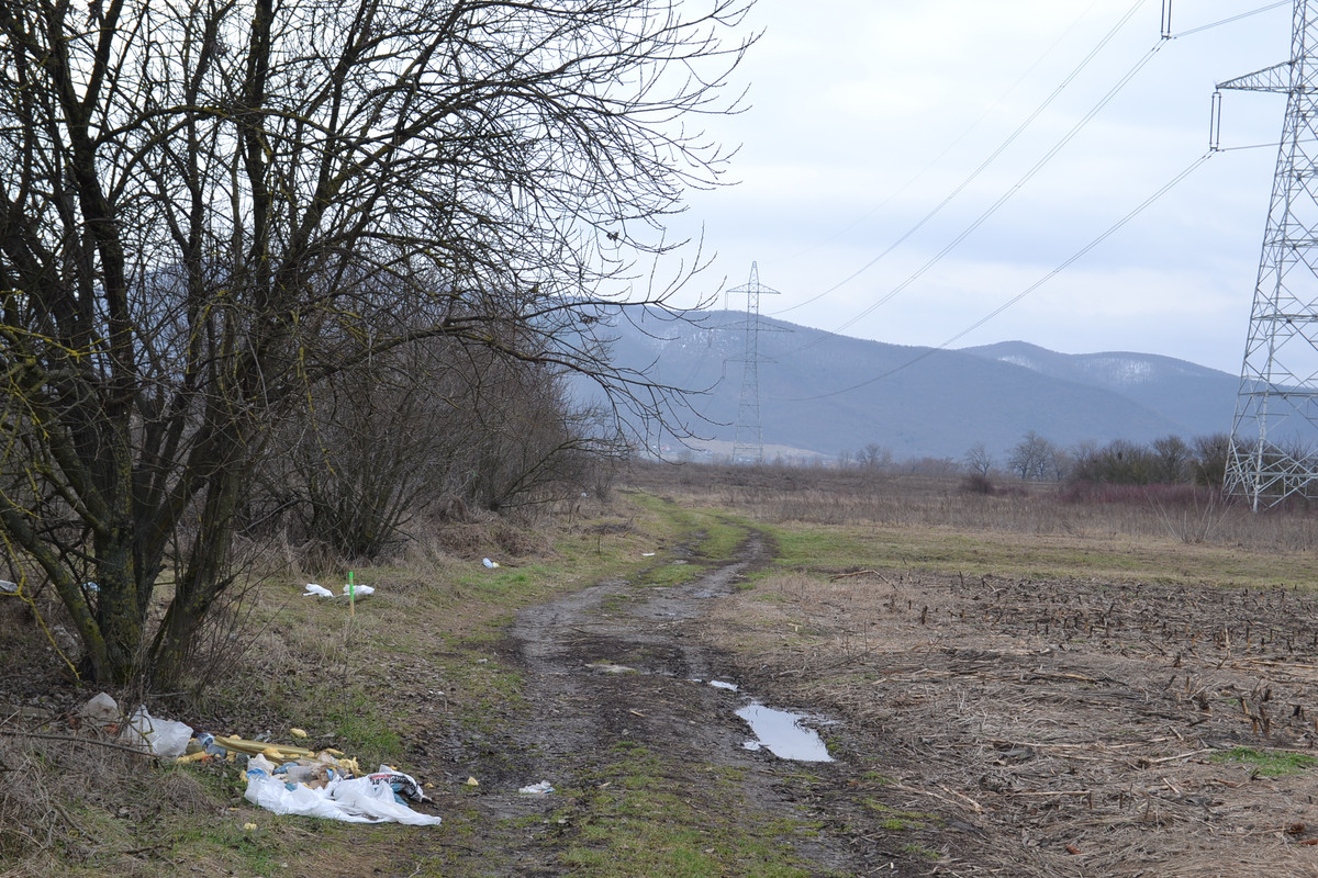 DSC_0656