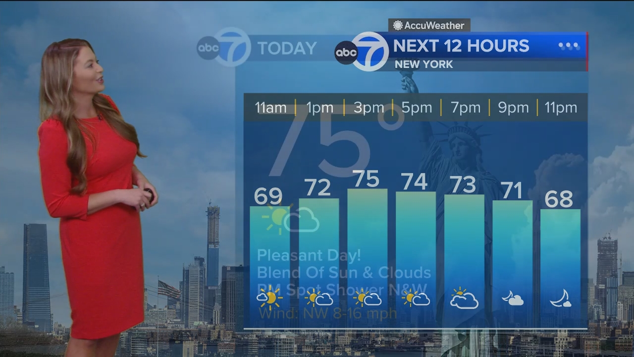 Eyewitness News Mornings at 10_20240610_15001600.ts_snapshot_00.16.59.957