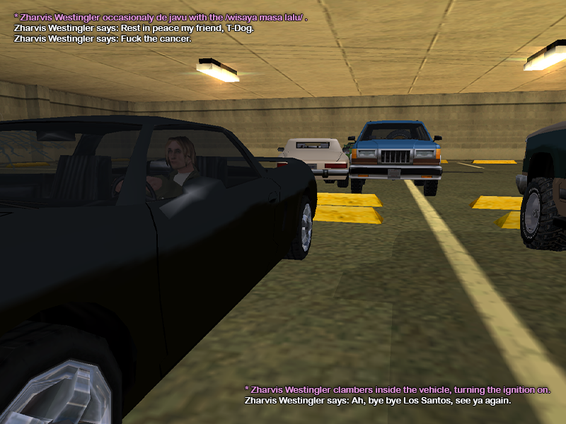 SS5.png