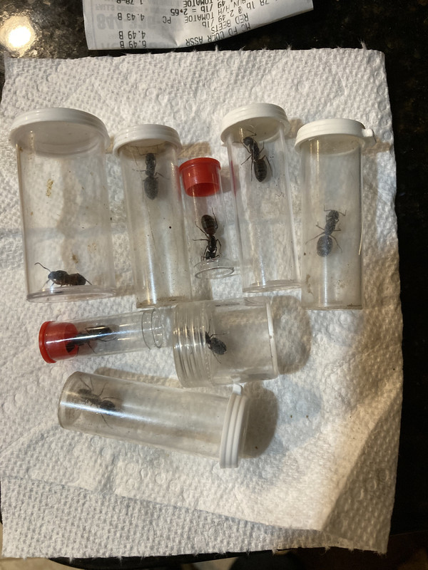 B5589301-127B-4FD0-A6BD-4117EAD74444