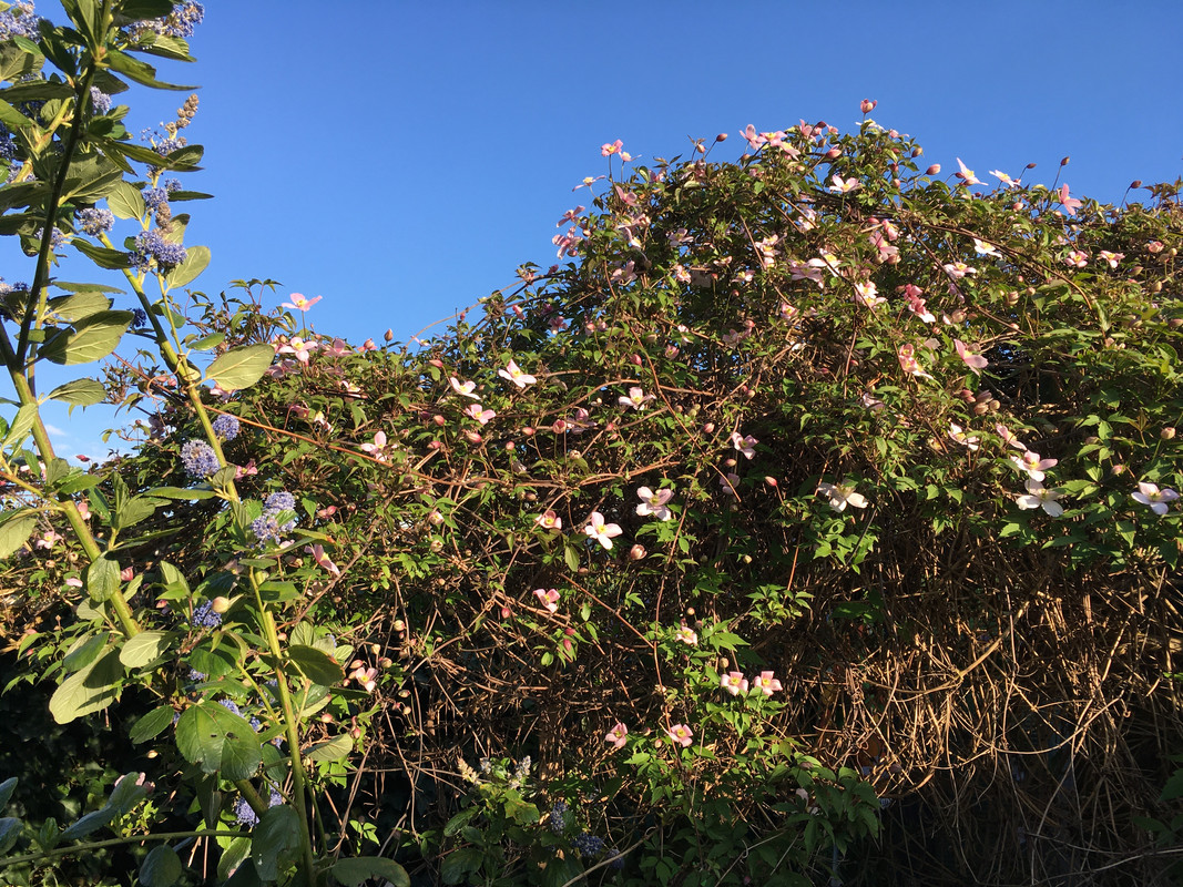 509E905A-9EAA-46F6-9302-5E241DEFF87D