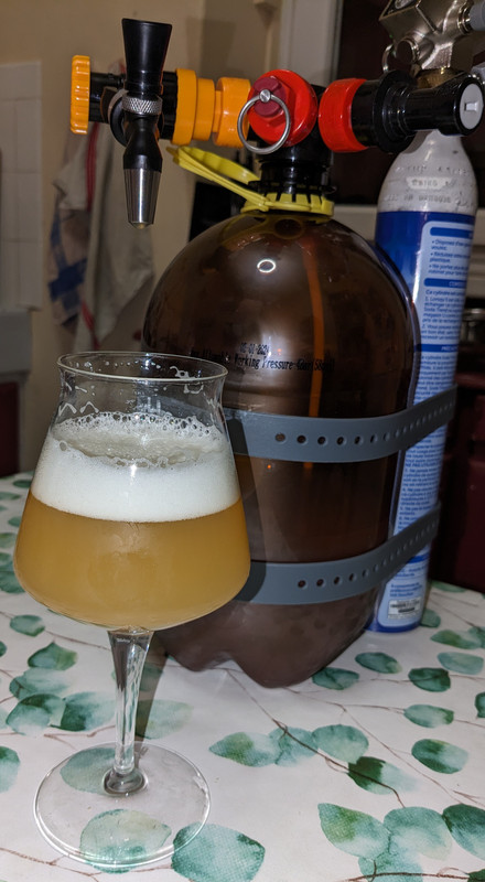 PXL_20240424_195007541