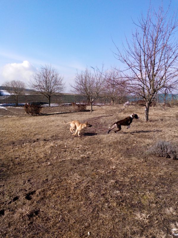 скачанные файлы