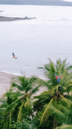 WOWGifs-9