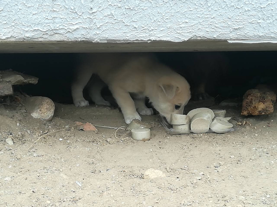 IMG_0347-27-10-18-02-44