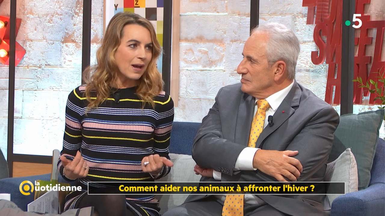 08 January - 10.45.00 - La quotidienne. Consommation solidaire e