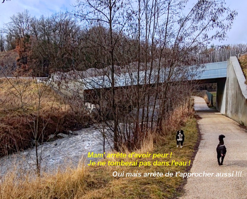 IMG-20260211-122456bb