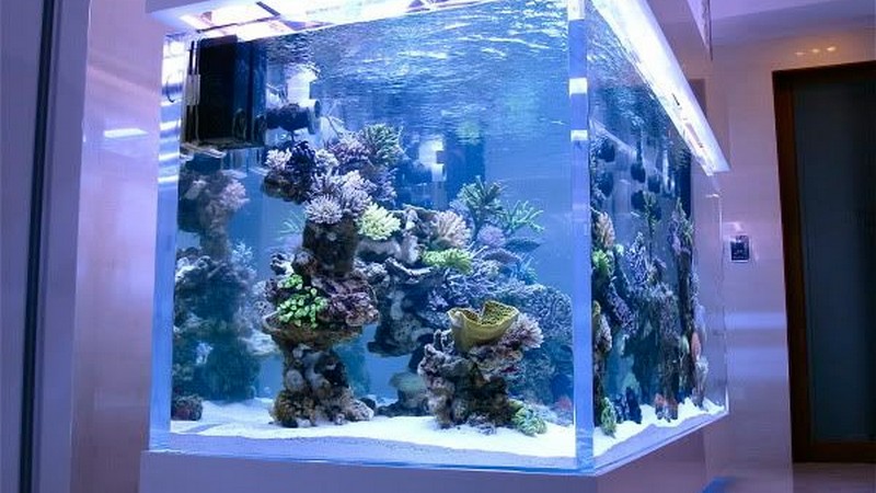 Акваріум на замовлення Акваріум на замовлення