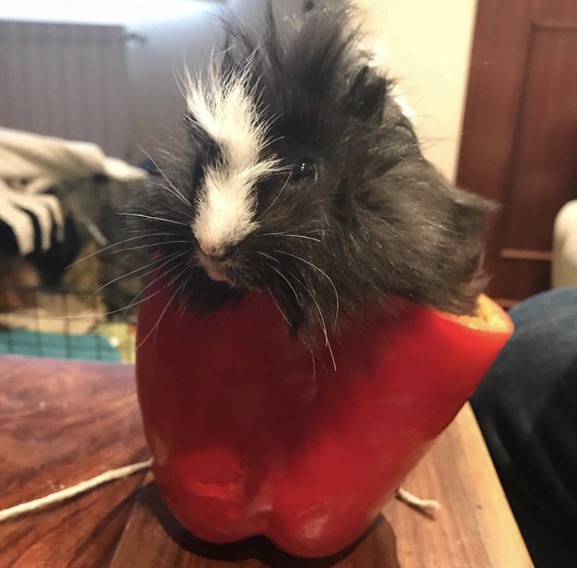 687CD260-B615-45C8-9E74-C2A65C59AD5D