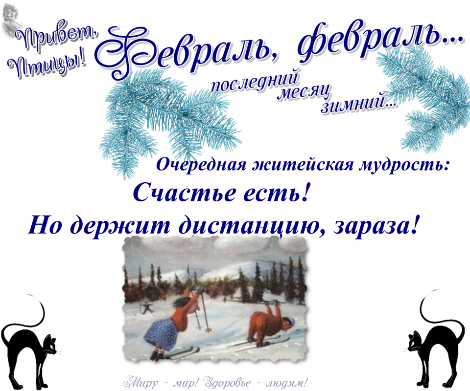 https://i.postimg.cc/sXZ3kTDQ/27-02.png