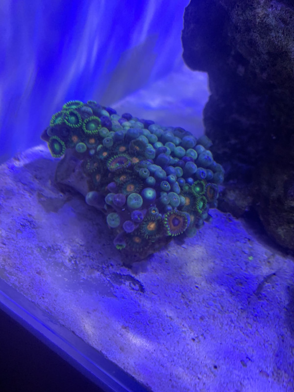 C4C276EA-8DAE-47C5-824C-1F41EC69D47F