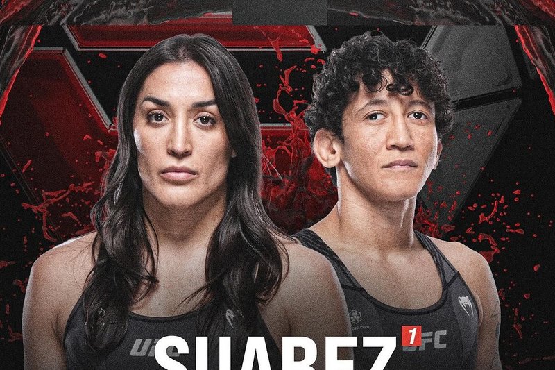 Татяна Суарес срещу Вирна Жандироба на UFC 310