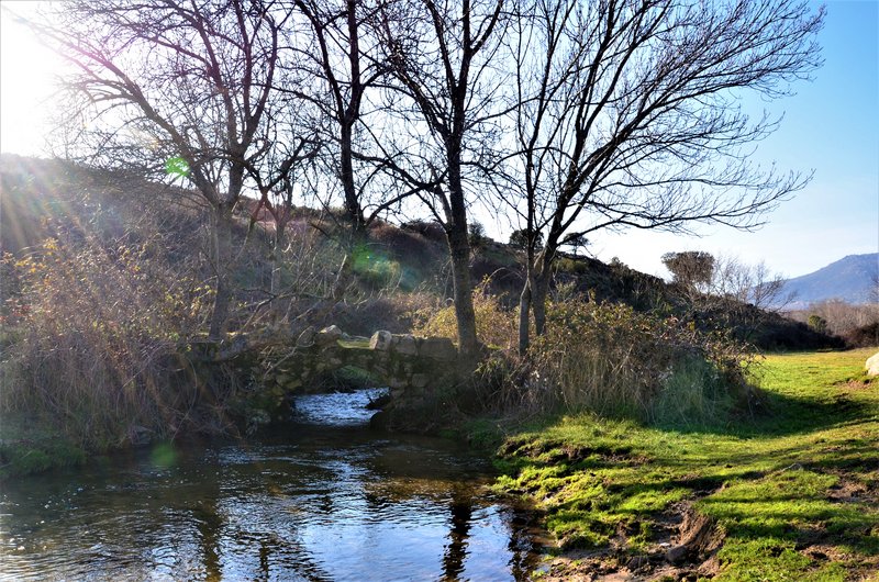 RUTA LOS PORRONES-11-1-2014-MADRID - Paseando por España-1991/2016 (66)
