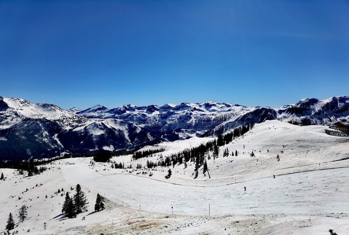 IMG_20220322_120901_edit_354096886835031 - Kopie - Kopie